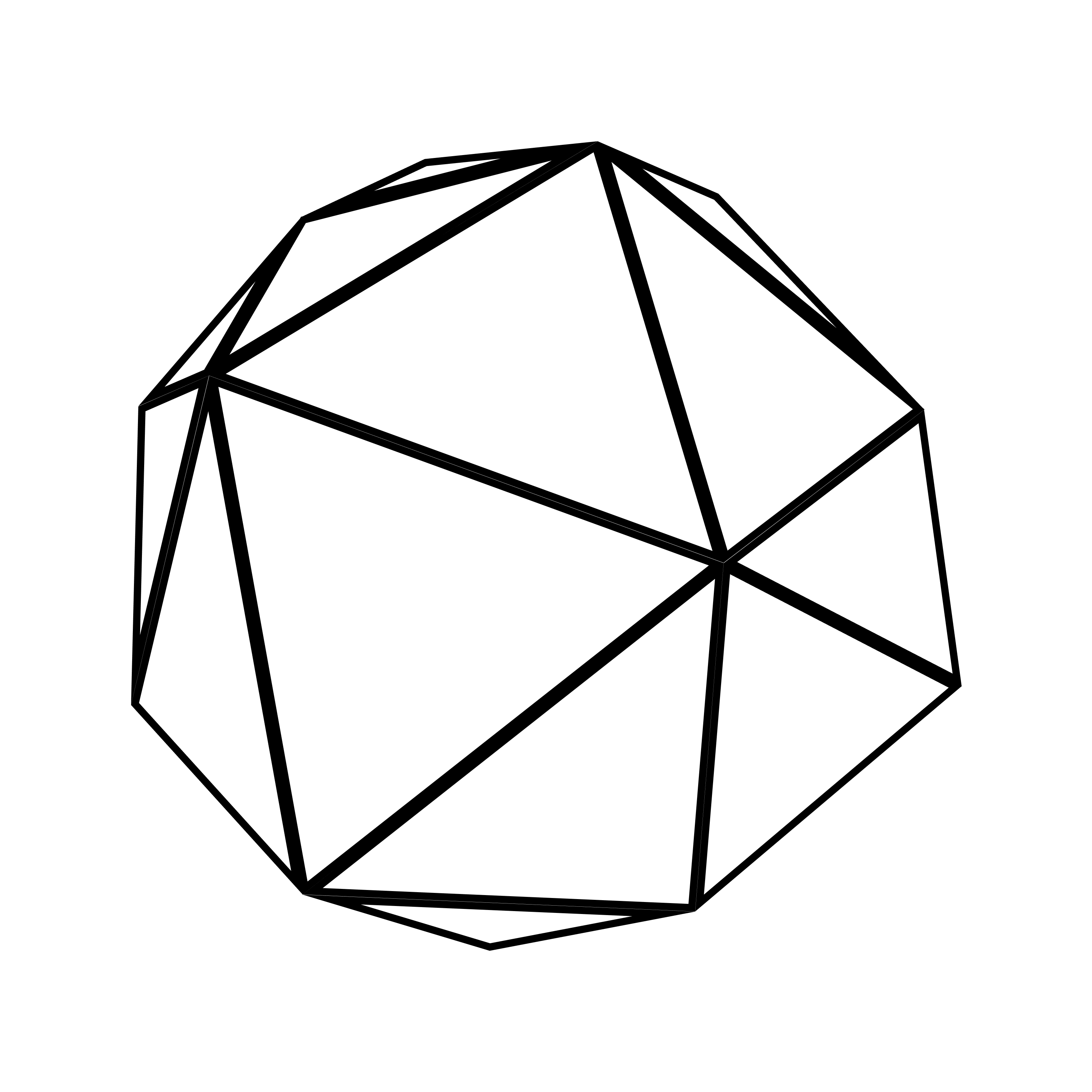 PUPL-WIREFRAMED (png)