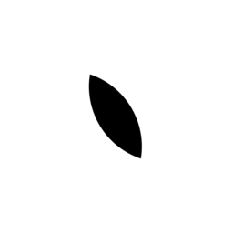 SilicaIcon-f0332-t-blackver (ico)