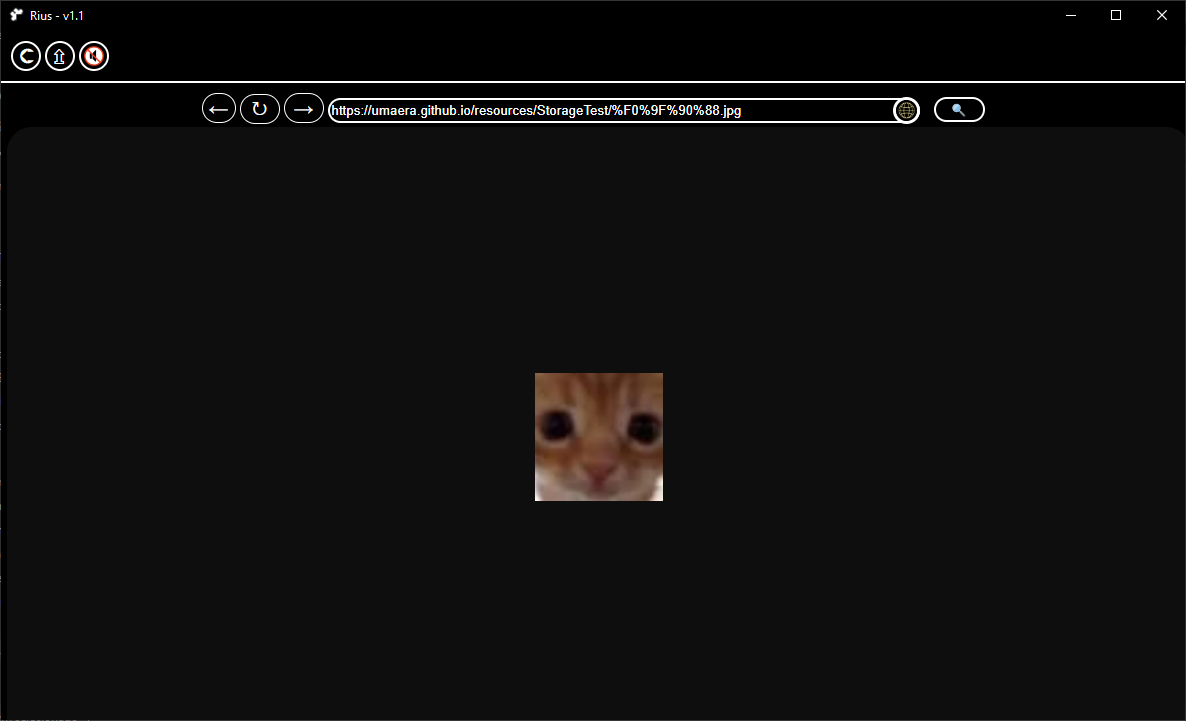 RiusBrowser Main Screen